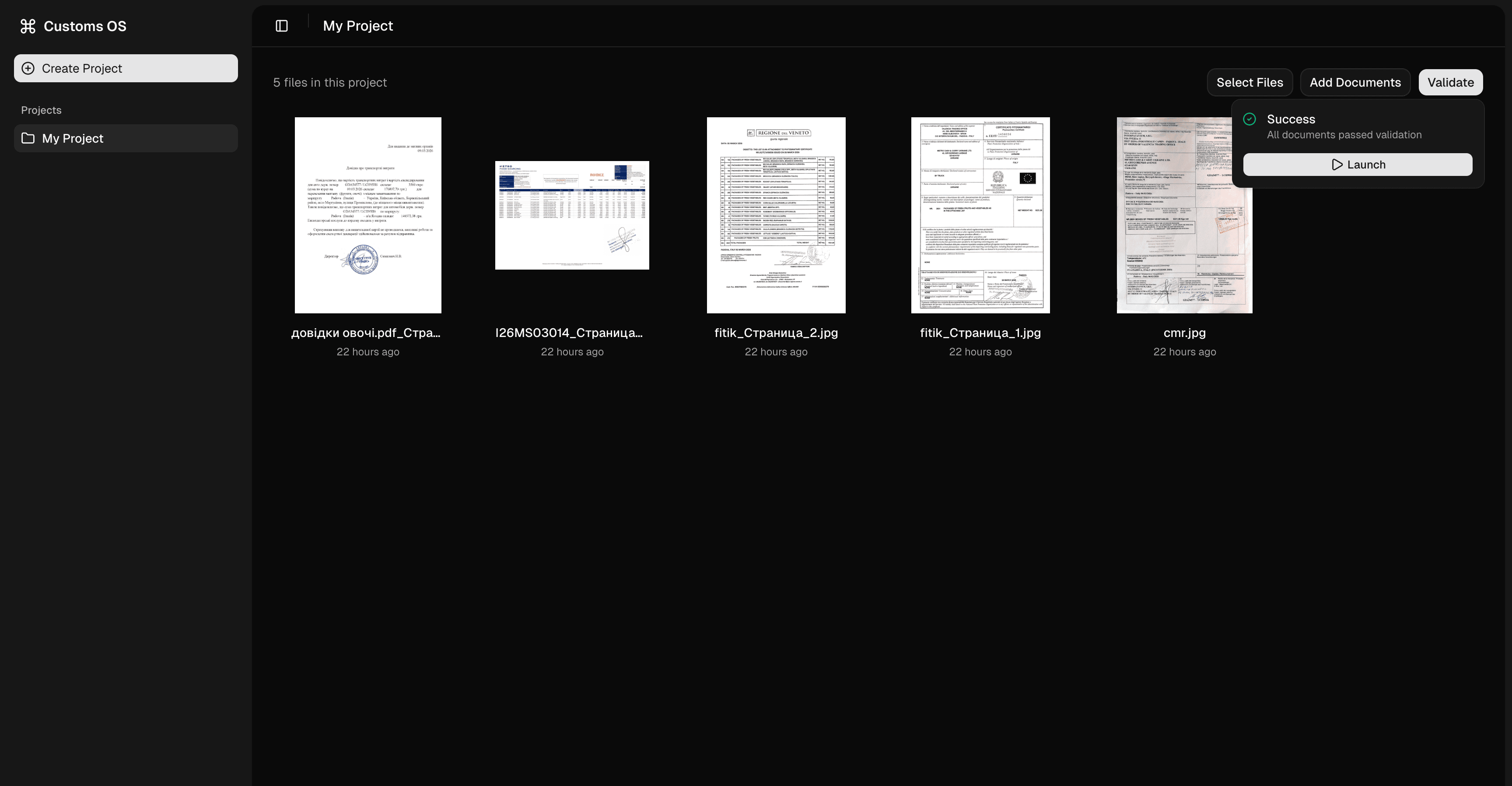 Customs OS — document validation workspace
